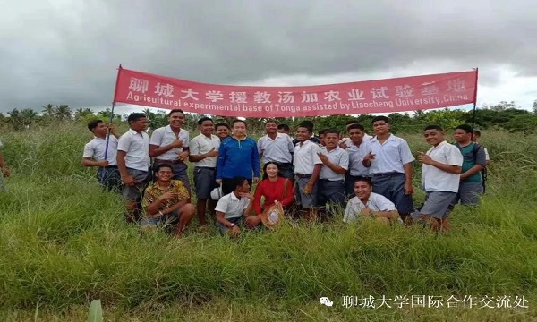 9728太阳集团