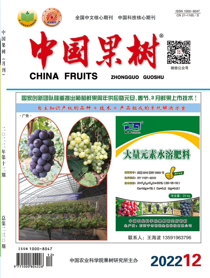9728太阳集团