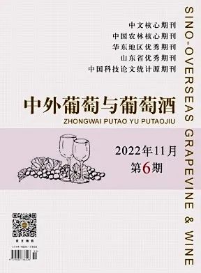 9728太阳集团