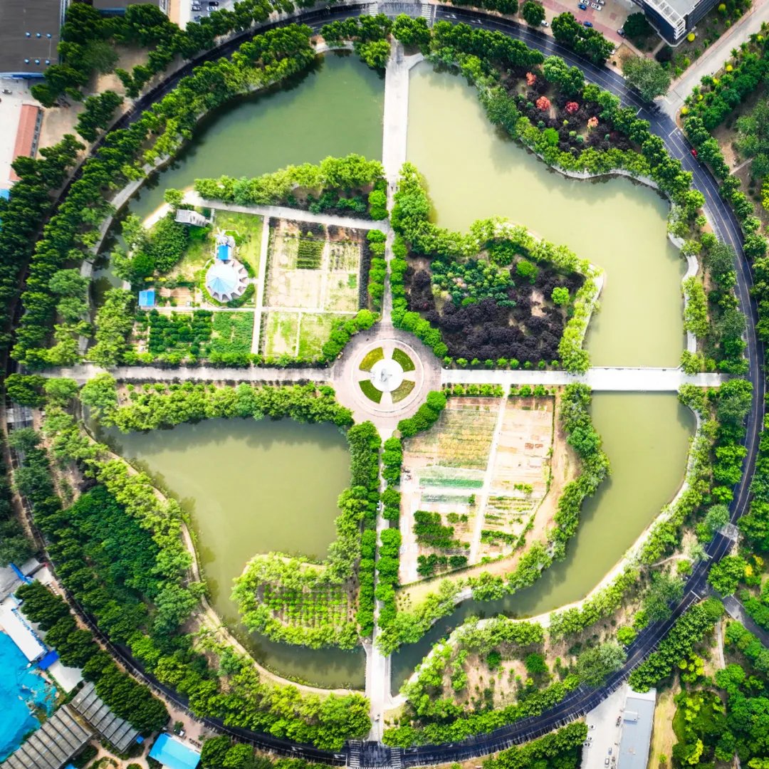 9728太阳集团