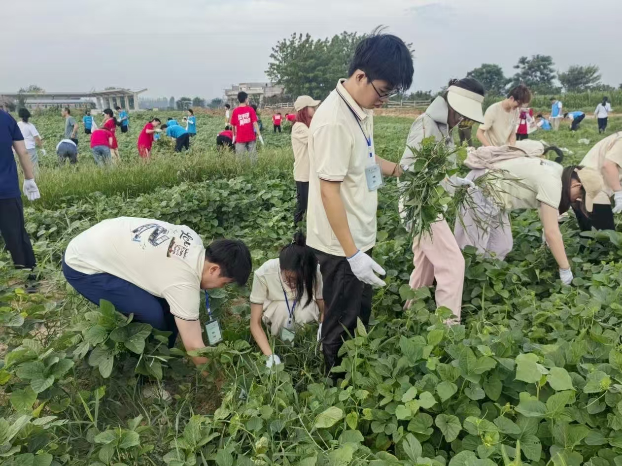 9728太阳集团